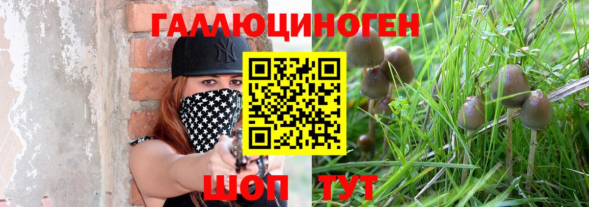 Галлюциногенные грибы прущие грибы  где найти наркотики  Елизово  Вход с VPN 