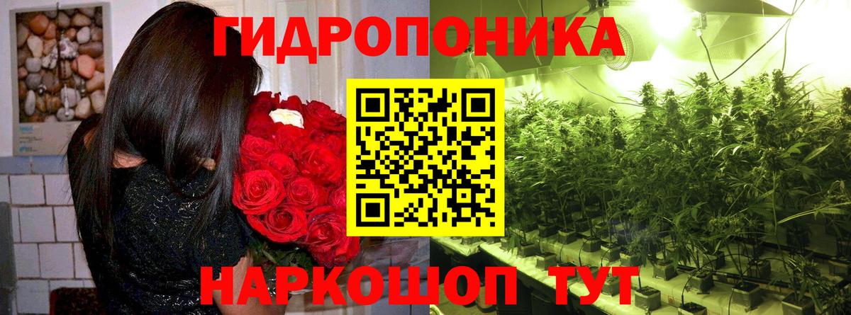 NBOMe Елизово